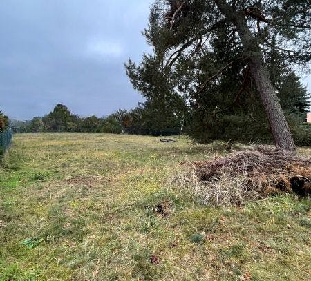 Sofort bebaubares großzügiges Baugrundstück im schönen Borgsdorf