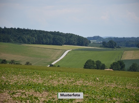 Land- und Forstwirtschaftliche Liegenschaft