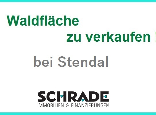 1,76 ha Forstfläche bei Stendal