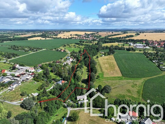 Einzigartige Pferdekoppel mit Baumbestand (ca. 1,5 ha) am Stadtrand von Dresden