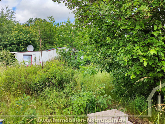 Gartengrundstück im Dornröschenschlaf in Neuruppin/Treskow