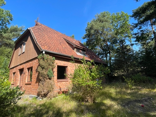 Einfamilienhaus auf großzügigem Grundstück mit altem Baumbestand wartet auf eine Wellnessbehandlung