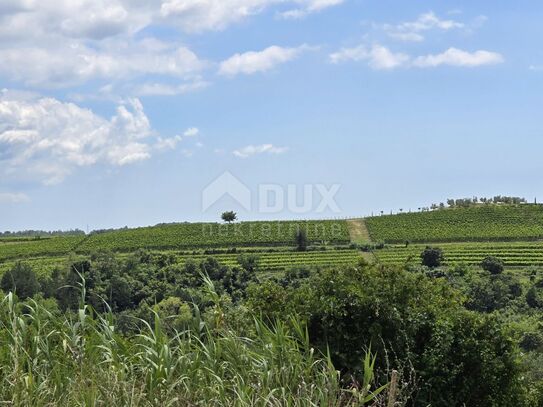 ISTRIEN, BUJE - Baugrundstück am Rande der Bauzone, Panoramablick