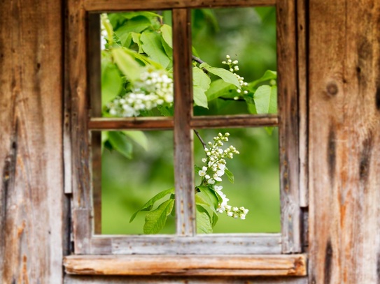 GROßZÜGIGES MFH MIT SCHÖNEM GARTEN