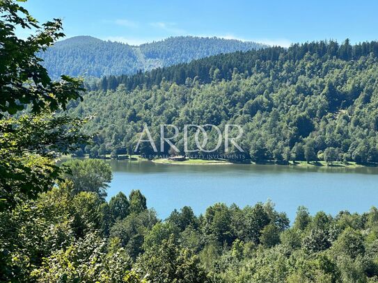 Grundstück Fužine, 10.000m2