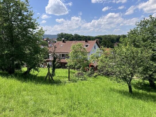 Exklusive 5-Zimmer-Wohnung mitten in der "schwäbischen Toskana"