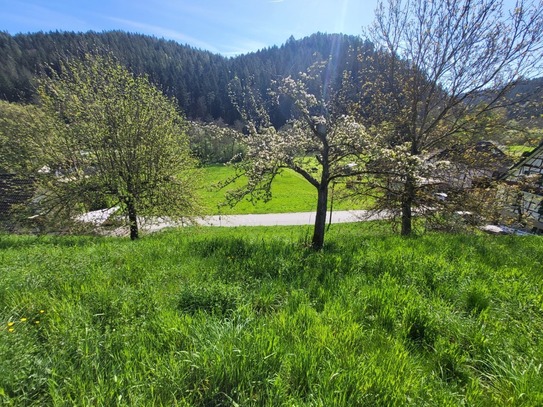 Baugrundstück in idyllischer Lage von Neubulach