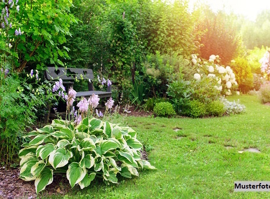 Garten- bzw. Erholungsflächen mit Garagen und Nebengebäuden