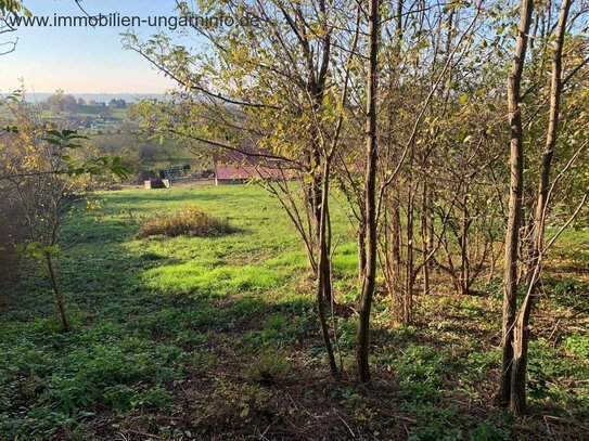 Baugrundstück 8 km nördlich des Plattensees zu verkaufen