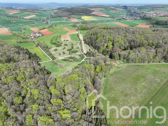 Kleiner Buchenwald zwischen Ingolstadt und Würzburg - südlich von Heidenheim in Bayern