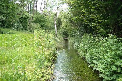 GROSSES HAUS MIT BACHLAUF UND EXTRA WEIHER