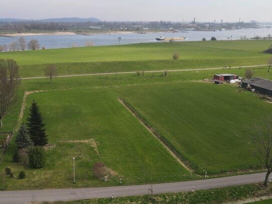 Rheinblick. Einzigartiges bis zu 9000 qm großes Baugrundstück