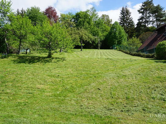 Großer Bauplatz in Walddorf!