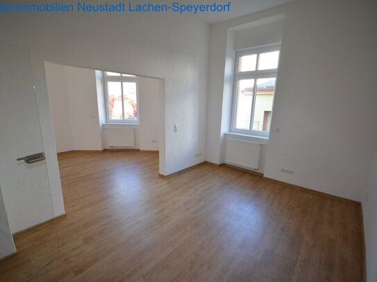 Eine wunderschoene Altbauwohnung in zentraler Stadtlage.