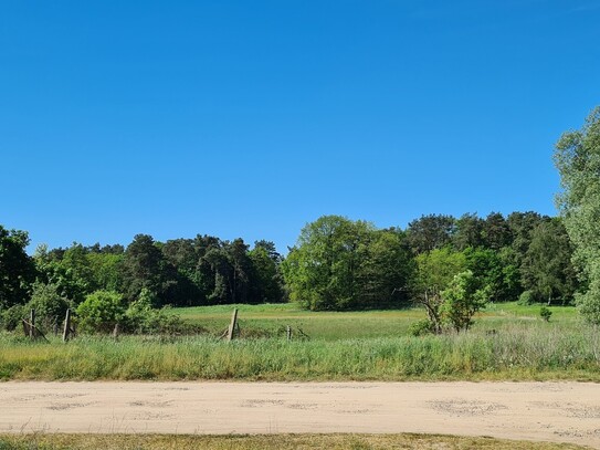 Hier pocht das Herz der Natur; ca. 1 h von Berlin; Bieterverfahren