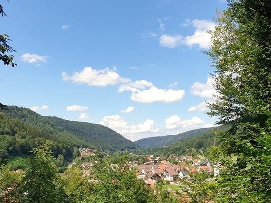 SEHR SCHÖNE WOHNUNG MIT LIFT, 2 BALKONEN UND VIEL GRÜN AUßEN HERUM