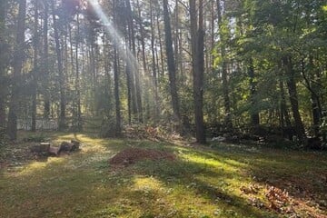 Bauträgerfreies Grundstück in Fichtenwalde zu verkaufen