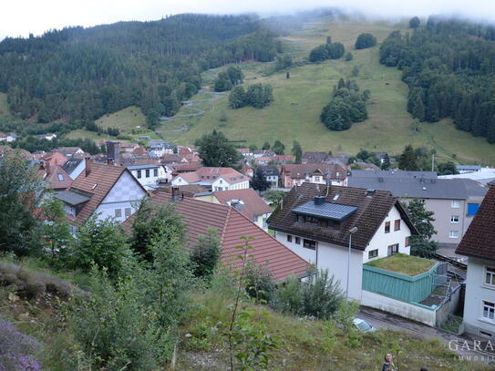 Willkommen in Todtnau!