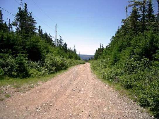 Baugrundstück an der Ostküste von Nova Scotia