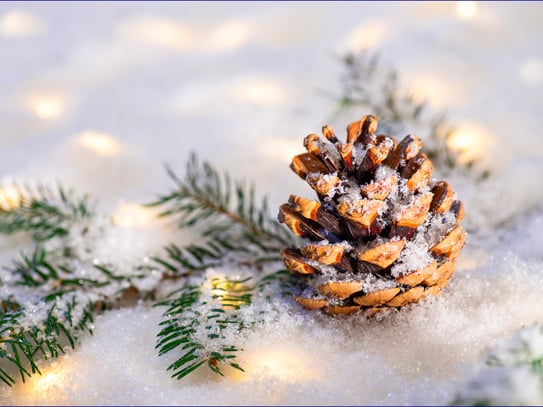 Unser Geschenk zur Adventszeit 
Ein Jahr Heizkostenübernahme (1.000,- EUR)
Hochwertige 3-Zimmer-Wohnung in München