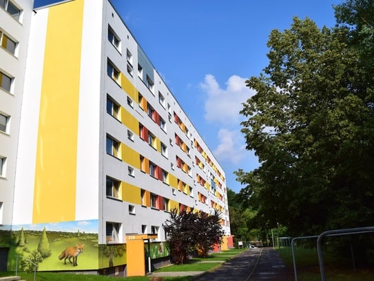 *Sanierte 4-Zimmer-Wohnung mit herrlichem Balkon wartet auf Euch!*