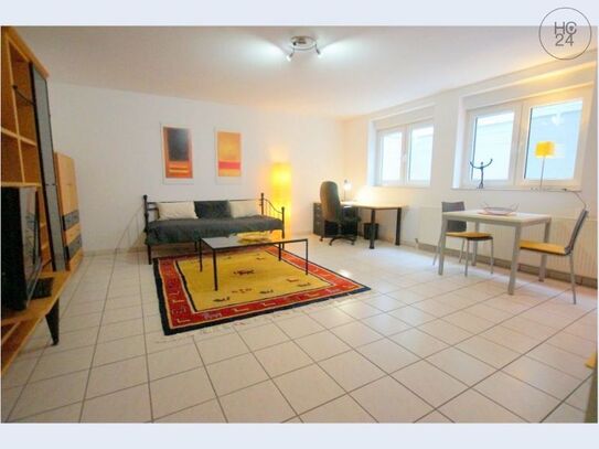 1-Zimmer-Apartment mit Vollausstattung