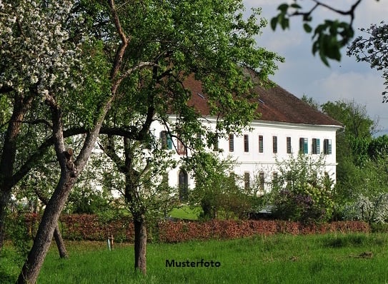 Historisches Bauernhaus mit Nebengebäude