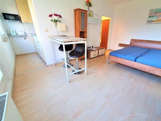 Möbliert 1-Zimmer Apartment in Dresden-Kleinpestitz