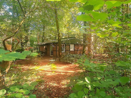 *#*OHNE PROVISION*#*TRAUMGRUNDSTÜCK IM WALD + KLEINES HAUS*NUR 30 MIN. BIS ELBBRÜCKEN *#*