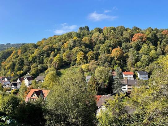 Baugrundstück in Schönau mit tollem Ausblick!