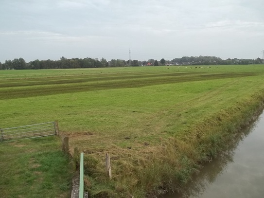 Grönland to verkopen in Nordenham-Atenserfeld