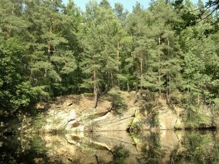 Grundstück im Wald mit Kranteich