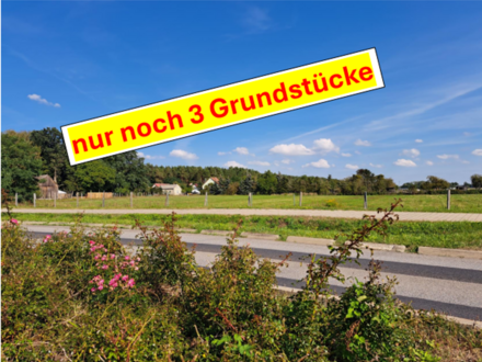 7 BAUTRÄGERFREIE GRUNDSTÜCKE IN GRÜNHEIDE/OT KAGEL