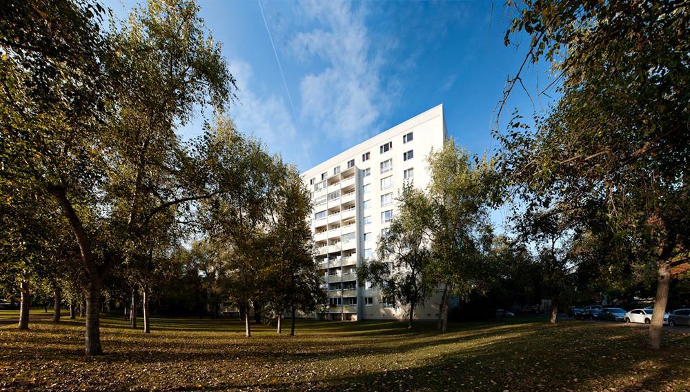 Wohnungen 2-ZimmerWhg 202 2.MI - Photo 1
