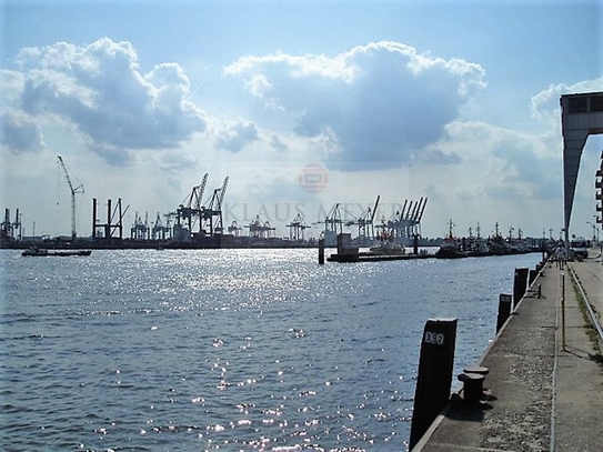 sehr repräsentative Loftfläche, hohen Decken, weite Aussicht über Hafen und die Elbe, provisionsfrei