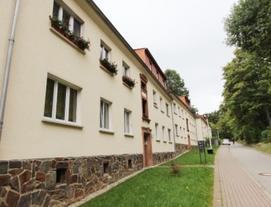 Kleine gemütliche 2-Raum Wohnung im Erdgeschoss mit Dusche! Frisch renoviert!