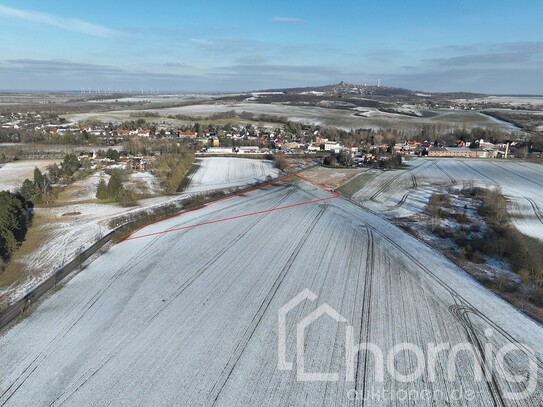 Kleiner Acker (ca. 1 ha) bei Halle für Jedermann