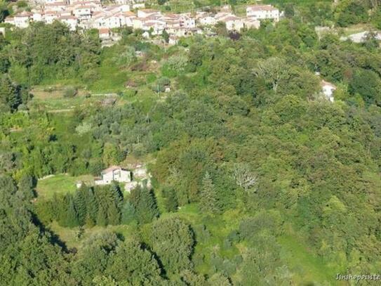 Alleinlage mit Meerblick - Landhaus mit viel Land und phantastischem Meerblick