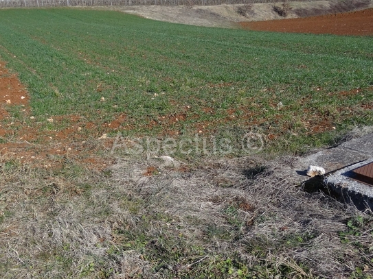 Pazin, nutzt Paket 10765m2 Geschäfts