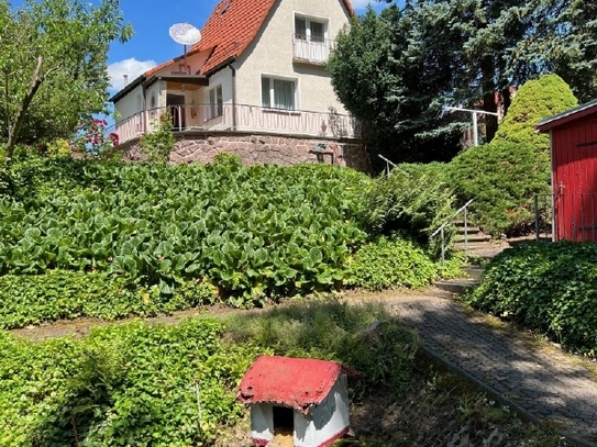 Unweit der Elbe, am Weg zur Römischen Bosel, ruhig und windgeschützt am Waldrand!