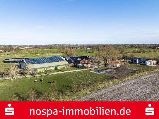 Landwirtschaftlicher Betrieb mit ca. 18 ha Grundstück/Ländereien in Harrislee