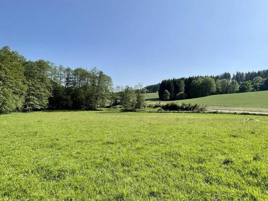 Freizeitgrundstück im Raum Deggendorf - ca. 6.905 qm unberührte Natur