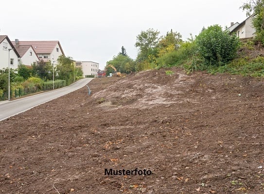 +++ Land- und Forstwirtschaftsfläche +++