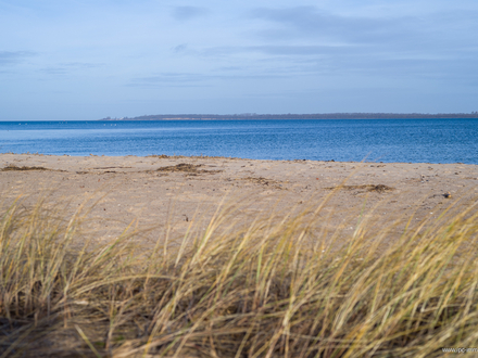 Der Ostsee so nah - Traumhaftes Familienhaus mit 3 Wohnungen und Kamin.