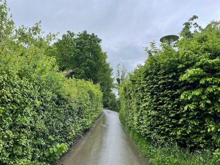 Lindau Bodensee- und Alpenblick mit 1.000 Quadratmeter Gartengrundstück