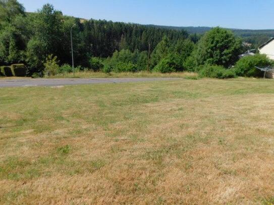 wohnen im Naturpark Hunsrück-Hochwald - erschlossenes 806qm großes Baugrundstück in unverbaubarer Lage