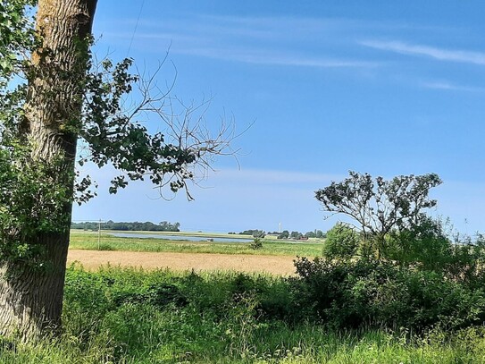 Ostsee - Boddenküste - Wasserblick - Baugrundstück - Ribnitz-Damgarten