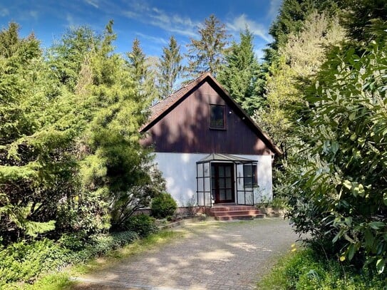 Wohnen auf Zeit in der Lüneburger Heide – Ihr Rückzugsort nahe Hamburg