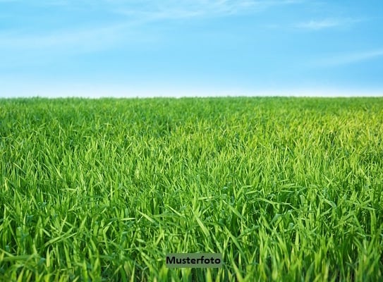 Landwirtschafts- und Verkehrsfläche - provisionsfrei