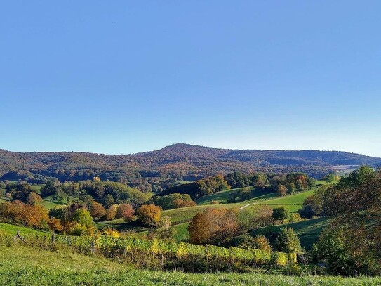 Voranfrage: Gemeinschaftliches Wohnen im Alter in Grasellenbach